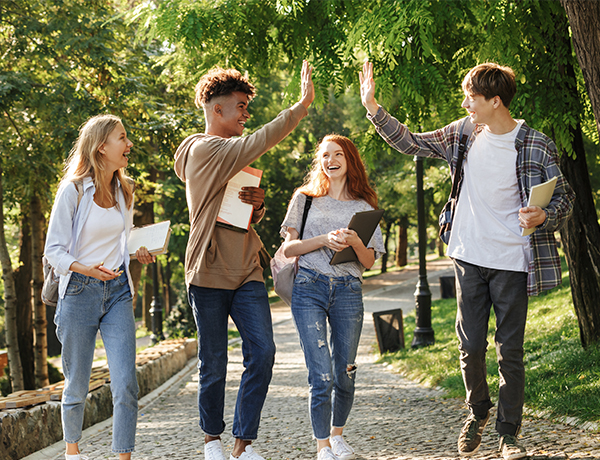 professional tutoring